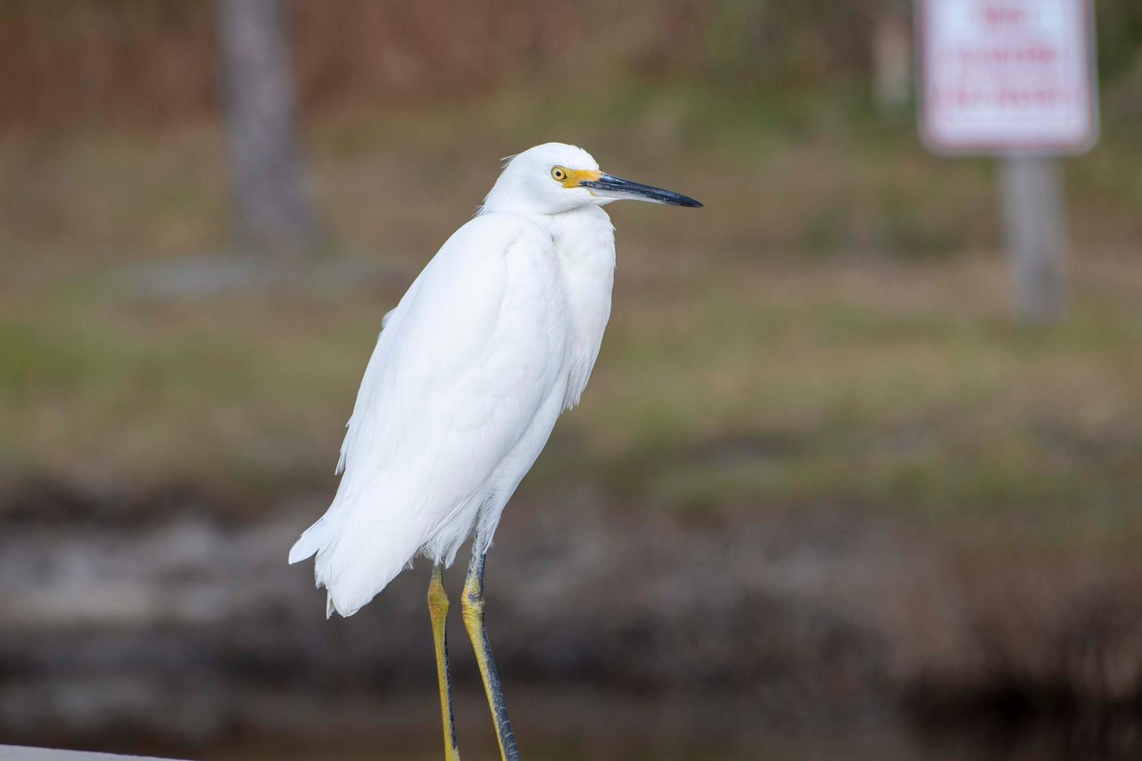 Location 4: Orange Beach,&nbsp;Alabama