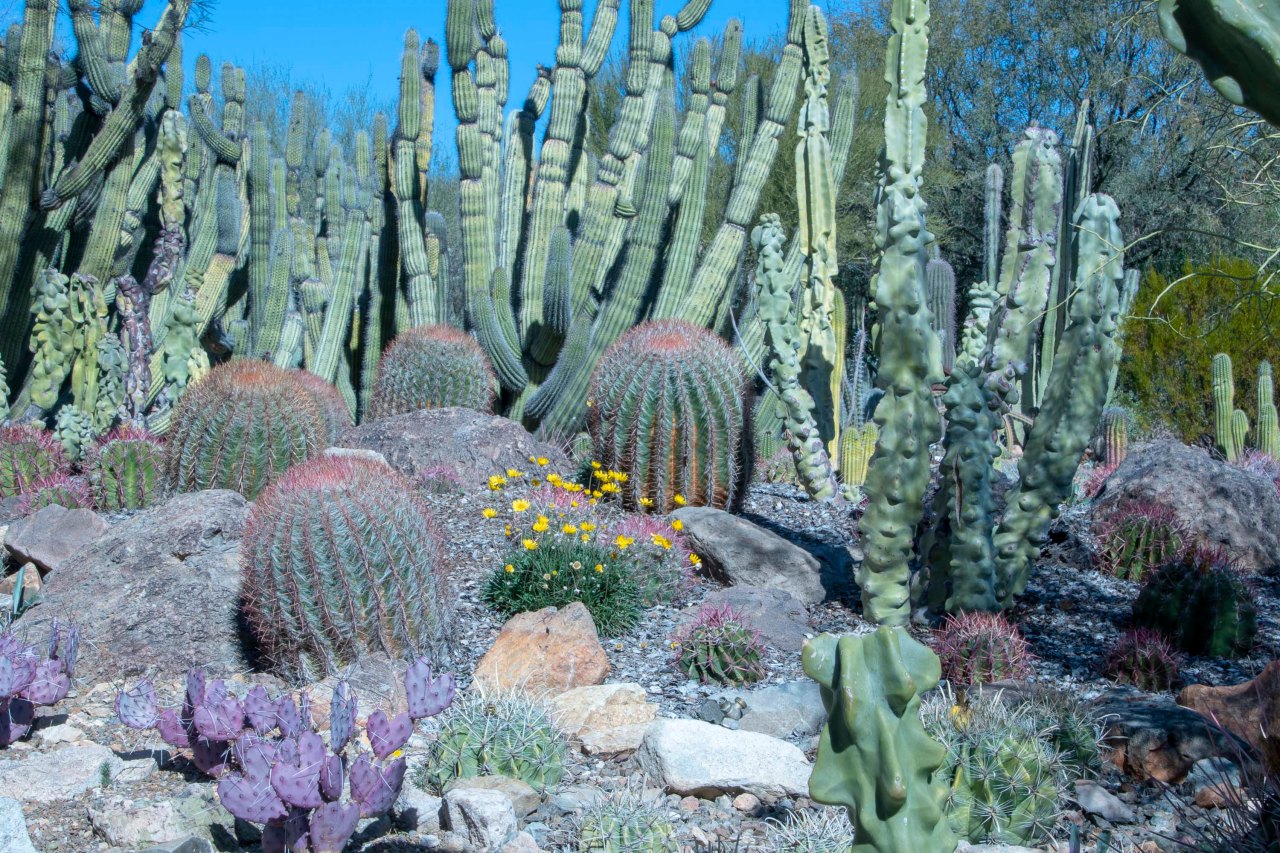 Location 10: Tucson,&nbsp;Arizona