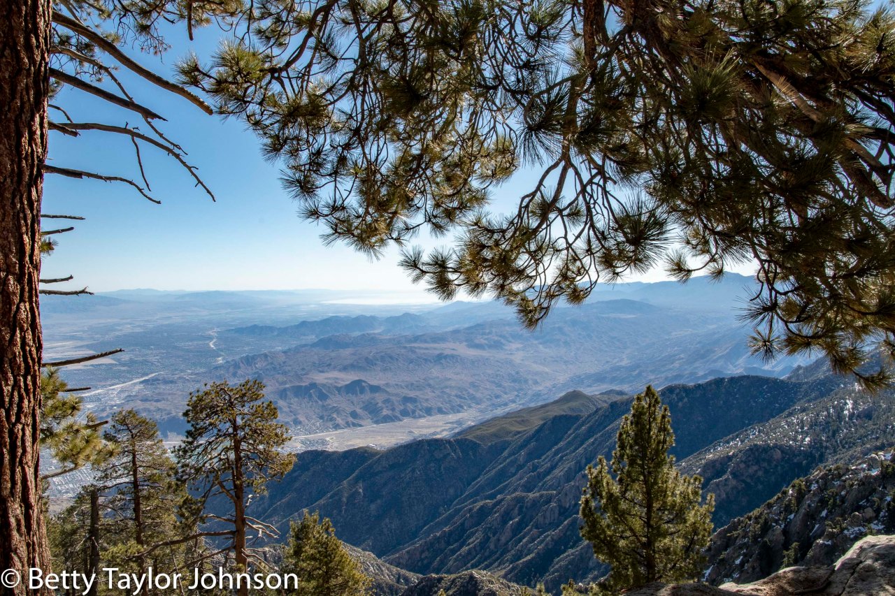 Location 12: Indio,&nbsp;California