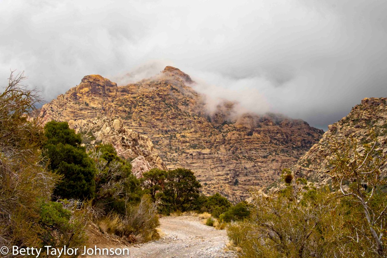 Location 15: Las Vegas,&nbsp;NV