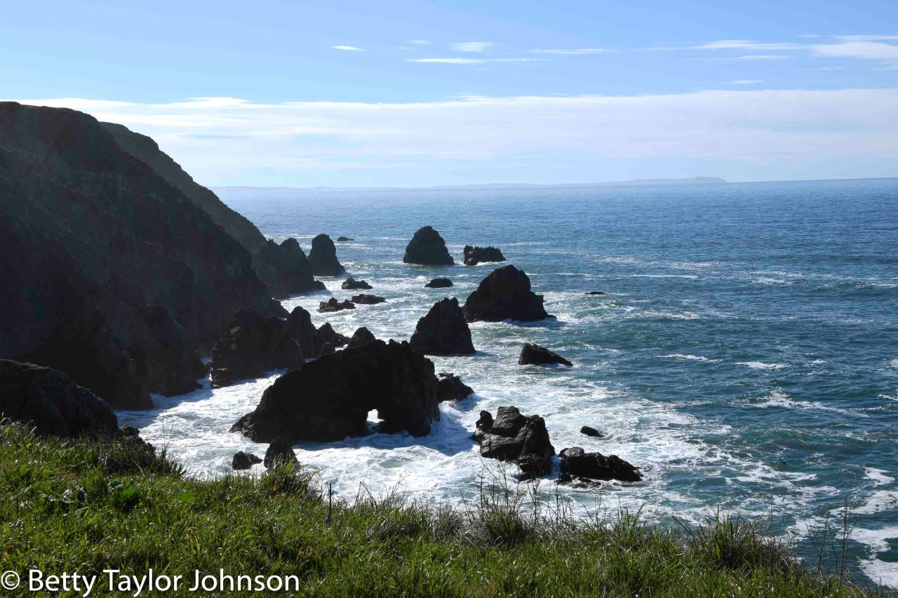 Location 17: Petaluma,&nbsp;CA