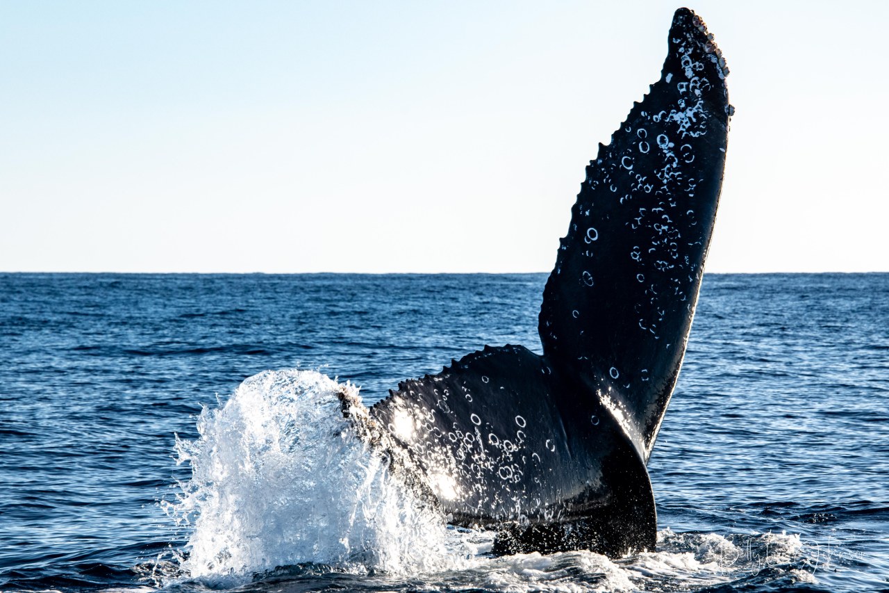 MEXICO: Cabo San&nbsp;Lucas