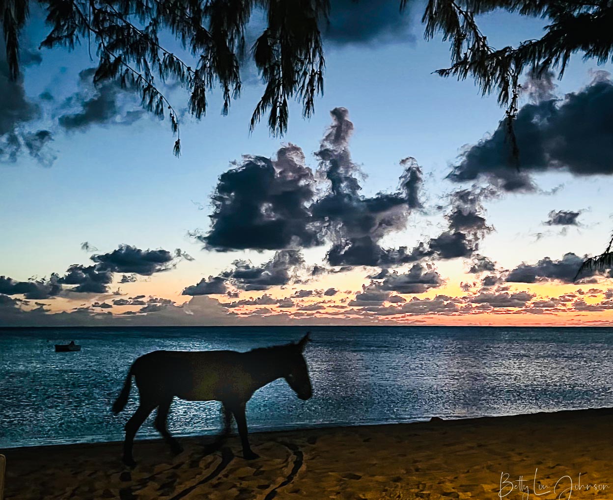 Turks and Caicos: Grand&nbsp;Turk