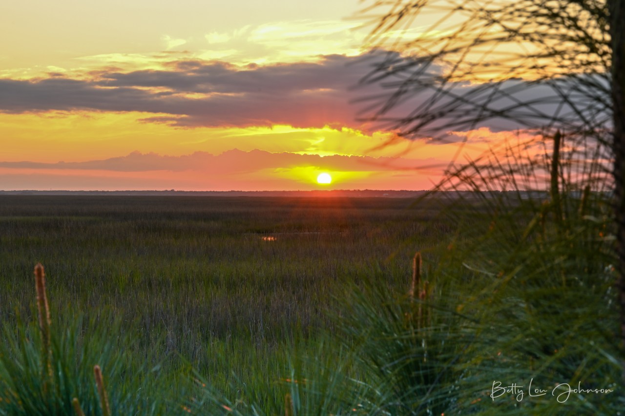 Savannah, Georgia & South Carolina&nbsp;Lowcountry